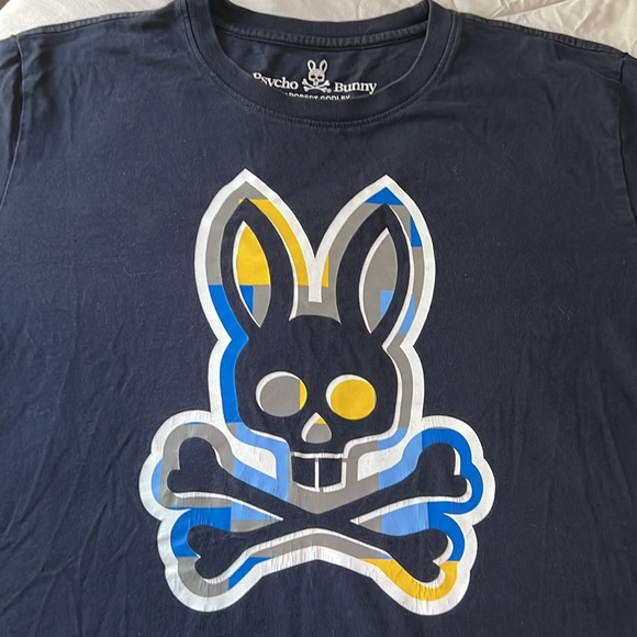 PSYCHO BUNNY MULTICOLOR LOGO GRAPHIC TSHIRT - Picture 2 of 11